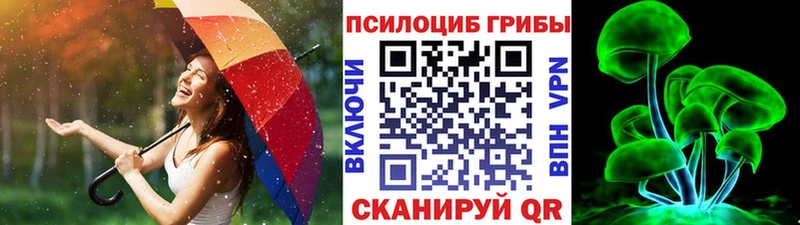 Псилоцибиновые грибы Cubensis  Тотьма 